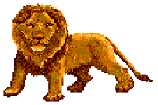 big lion