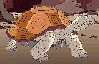 small tortoise