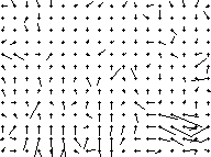 Very messy vector field