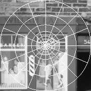 image with log-polar grid