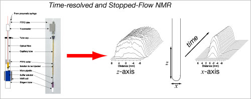 tr-nmr