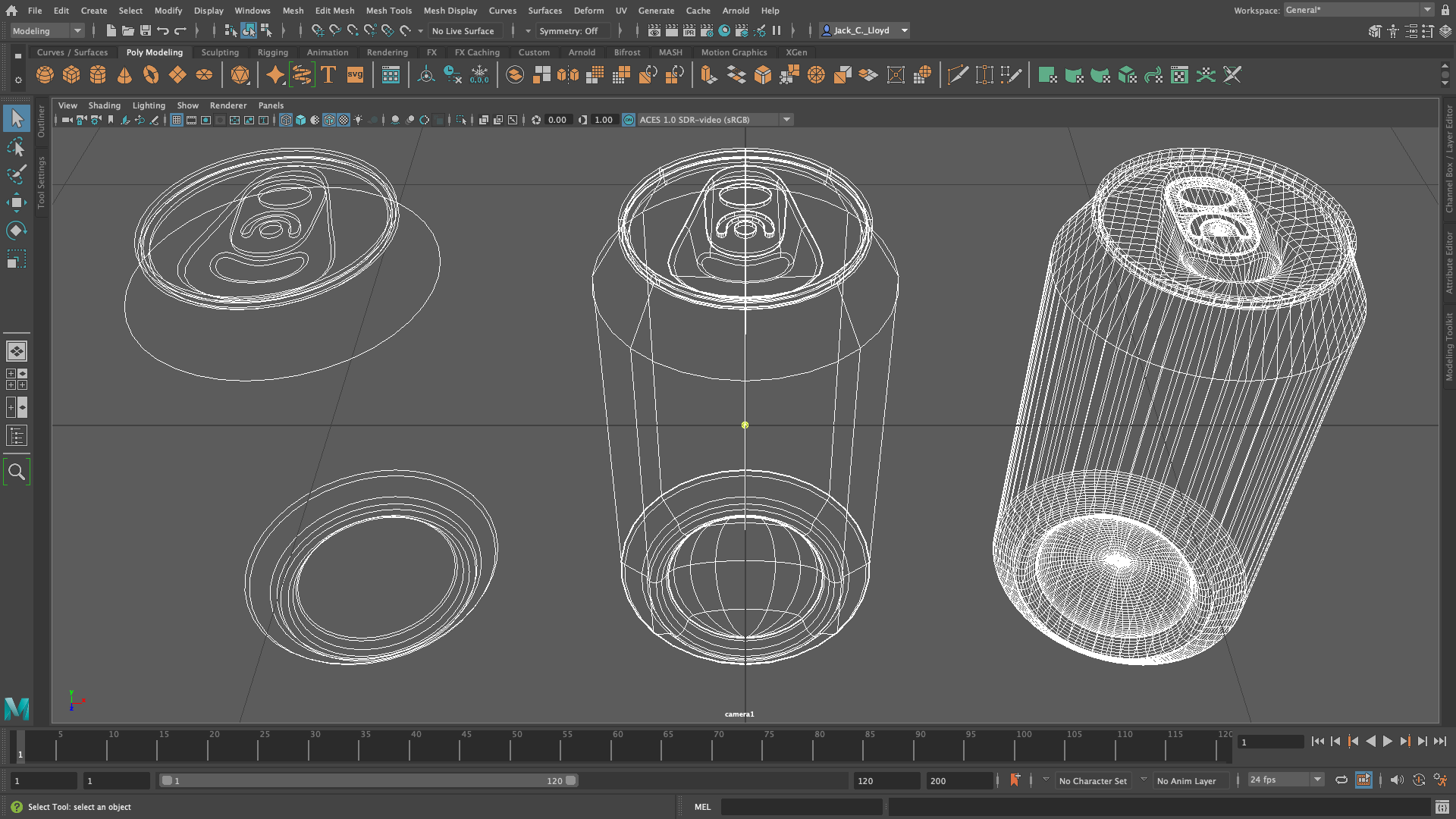 Maya: Curves, Surfaces, and Polygons