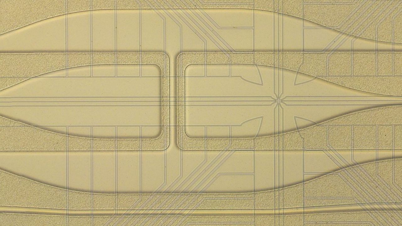 A portait of Eustace the X-junction ion trap, in all its glory