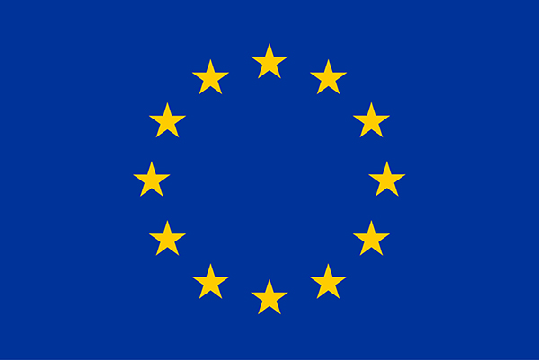 EU logo plus the text: This project has recieved funding from the European Union's Horizon 2020 research and innovation programme under the Marie Sklodowska-Curie grant agreement number 101006411 